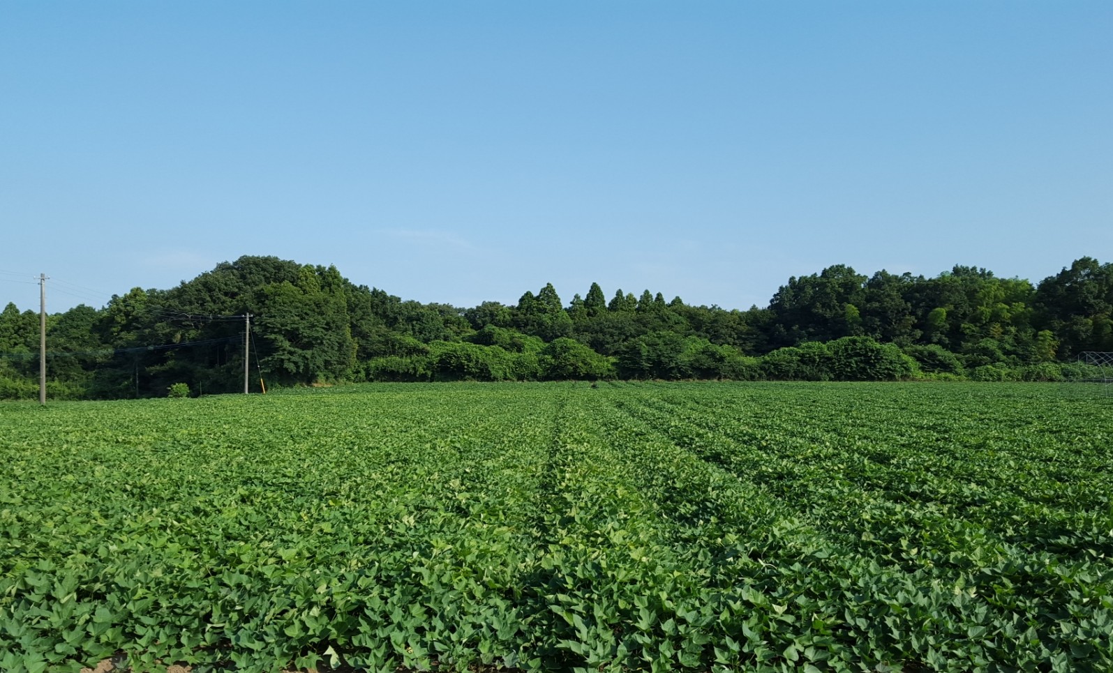 おかの屋のこだわり
