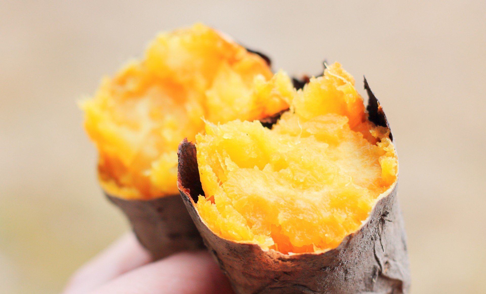 調理師の技術と商品開発